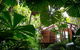 Daintree Wilderness Lodge - thumb 4