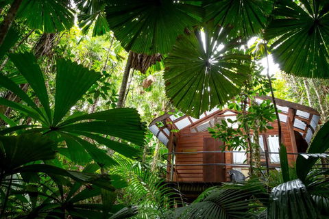 Daintree Wilderness Lodge - Schoolies Week Accommodation 4
