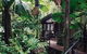 Daintree Wilderness Lodge - thumb 2