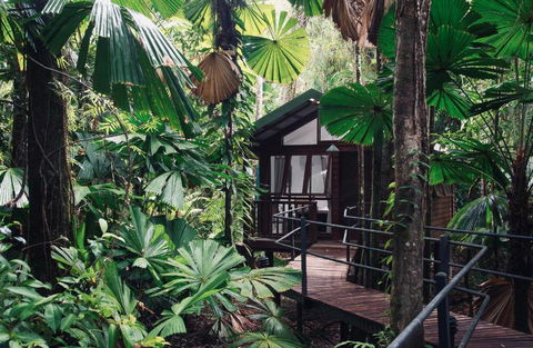 Daintree Wilderness Lodge - Schoolies Week Accommodation 2