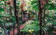 Daintree Wilderness Lodge - thumb 3