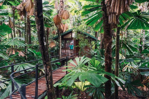Daintree Wilderness Lodge - Schoolies Week Accommodation 3