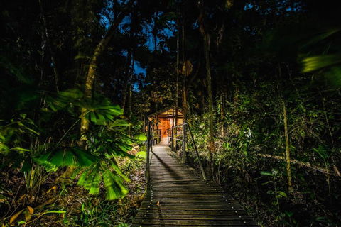 Daintree Wilderness Lodge - Schoolies Week Accommodation 1