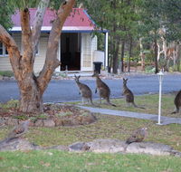 31 The Rocks - Schoolies Week Accommodation