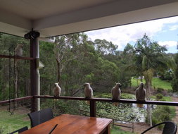 Book Gold Coast Accommodation Schoolies Week Accommodation Schoolies Week Accommodation