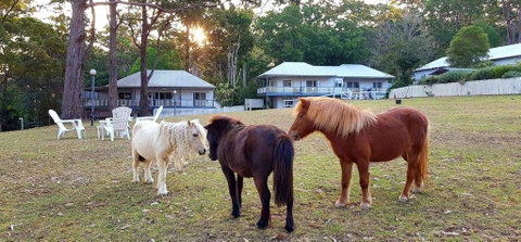 Aaronlee Retreat - Schoolies Week Accommodation 2