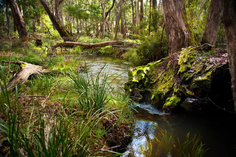 Ablac Studio - Schoolies Week Accommodation 1