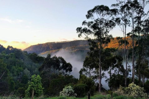 HILLSIDE HOUSE - Schoolies Week Accommodation 2