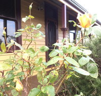 Albion Cottage - Schoolies Week Accommodation