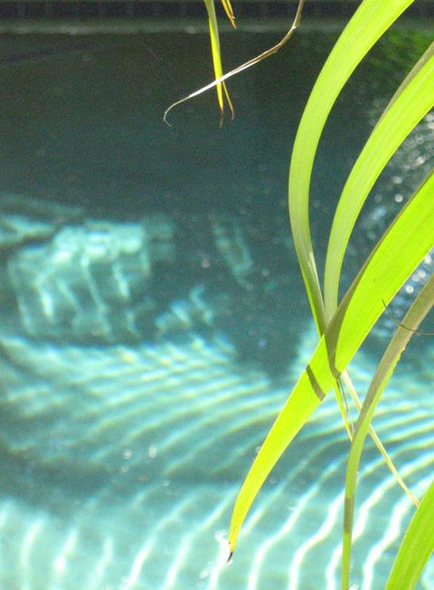 Artizen - Schoolies Week Accommodation 3