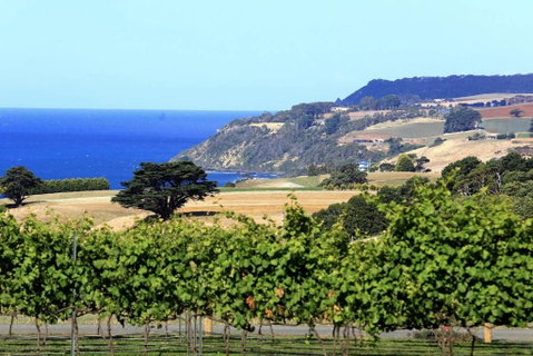 Mallavale Farm, Boat Harbour - Schoolies Week Accommodation 0