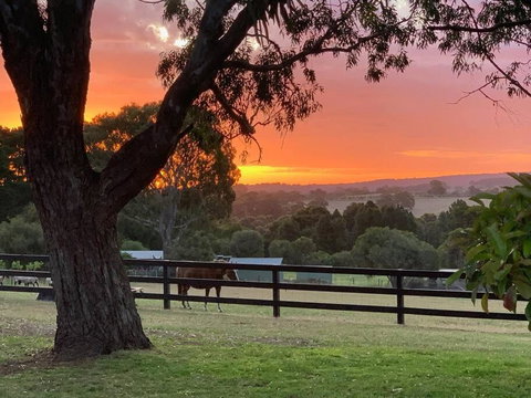 Mount Bold Estate - Luxurious Private Retreat - Schoolies Week Accommodation 0