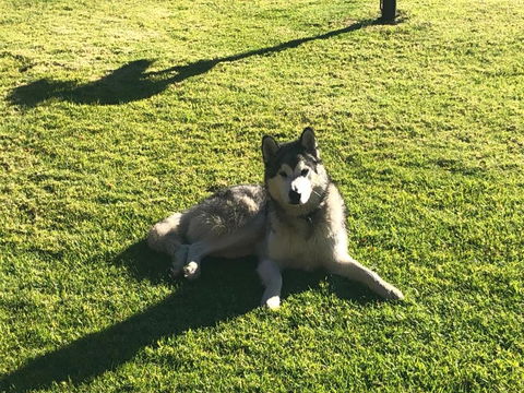 Mountain Culture Farm Stay - Pet Friendly - Schoolies Week Accommodation 3