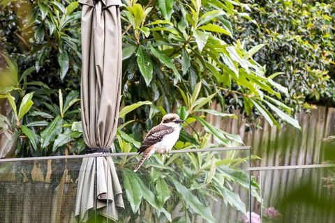 Quaint Queen Room - Central Location At Pymble - Shared Bathroom - Schoolies Week Accommodation 1