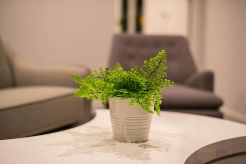 Astrina 2 Bed Value Apartment - Schoolies Week Accommodation 1