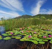 Barrington Hideaway- River Cottages - Schoolies Week Accommodation