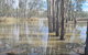 Riversands Rest Accommodation Paringa - River Box Cottage - thumb 3
