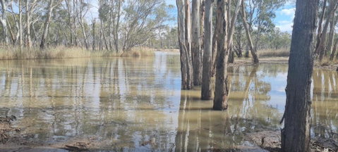 Riversands Rest Accommodation Paringa - River Box Cottage - Schoolies Week Accommodation 3