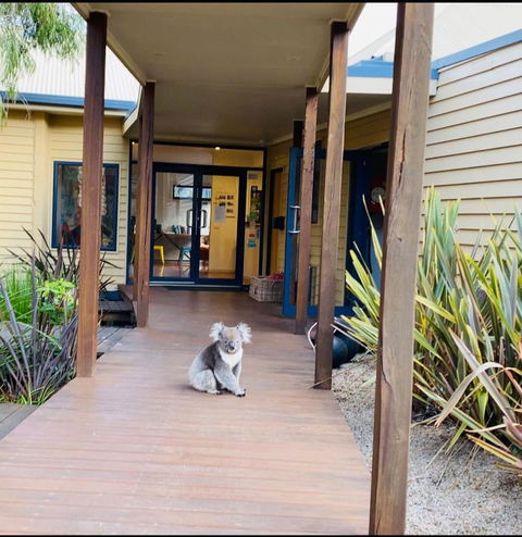 Sandpiper Motel Apollo Bay - Schoolies Week Accommodation 3