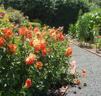 Boat Harbour Garden Cottages - Schoolies Week Accommodation