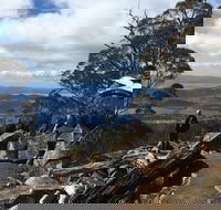 kunanyi / Mt Wellington Explorer Bus - 2 Hour Return Tour - Schoolies Week Accommodation