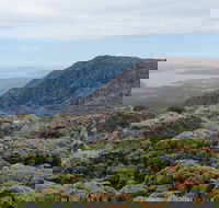 kunanyi/Mt Wellington Explorer Bus - One Way Tour - Schoolies Week Accommodation