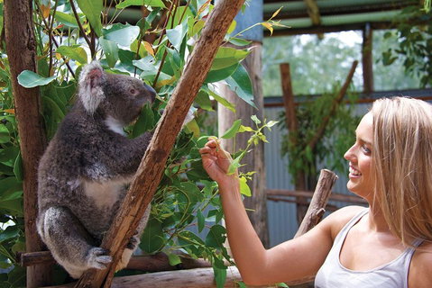 Private Guided Tour: Blue Mountains Tour From Sydney - Schoolies Week Accommodation 5