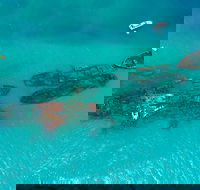 Private Tangalooma Wrecks Tour - Schoolies Week Accommodation