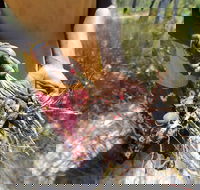 Gay-Wu Woman's 5 Day Yolngu Homeland Tour - Schoolies Week Accommodation