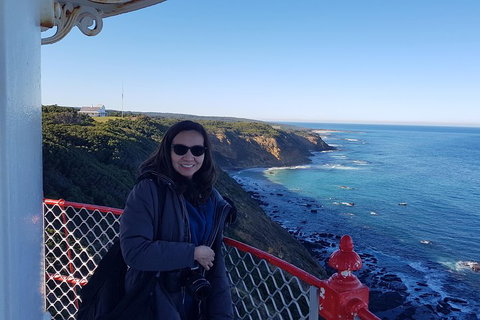 Great Ocean Road Full Day Private Experience - Schoolies Week Accommodation 1