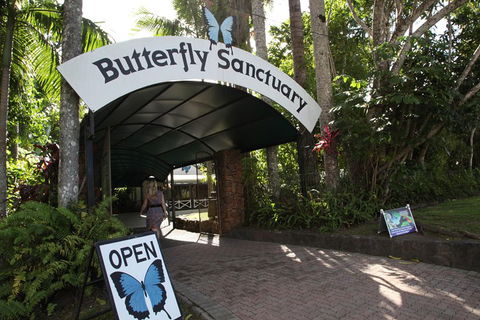 Kuranda Day Trip From Port Douglas Upgrade To Skyrail & Scenic Train Available - Schoolies Week Accommodation 0