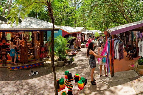 Kuranda Day Trip From Port Douglas Upgrade To Skyrail & Scenic Train Available - Schoolies Week Accommodation 2