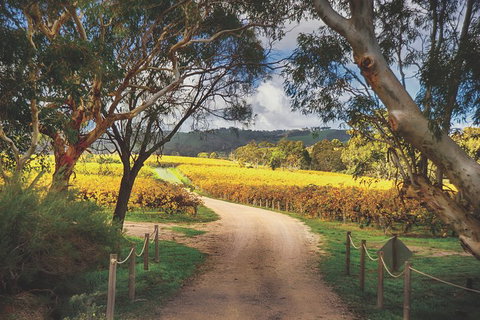 McLaren Vale Winery Small Group Tour With Wine Tasting And Lunch - Schoolies Week Accommodation 1
