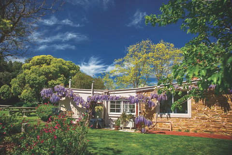 McLaren Vale Winery Small Group Tour With Wine Tasting And Lunch - Schoolies Week Accommodation 2