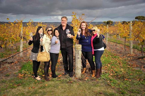 McLaren Vale Winery Small Group Tour With Wine Tasting And Lunch - Schoolies Week Accommodation 3