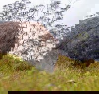 3-Day Cradle Mountain Photography Workshop - Schoolies Week Accommodation