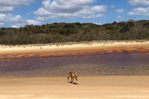 Pippies 3 Days 2 Nights Fraser Island Tour - Schoolies Week Accommodation 2