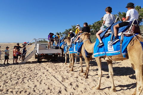 Broome Pre-sunset Camel Tour 30 Minutes - Schoolies Week Accommodation 5