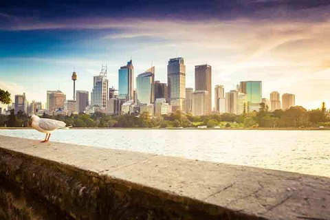 Private Sydney City And Bondi Beach Half Day Tour - Schoolies Week Accommodation 2