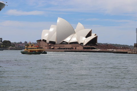 Private Sydney City And Bondi Beach Half Day Tour - Schoolies Week Accommodation 5