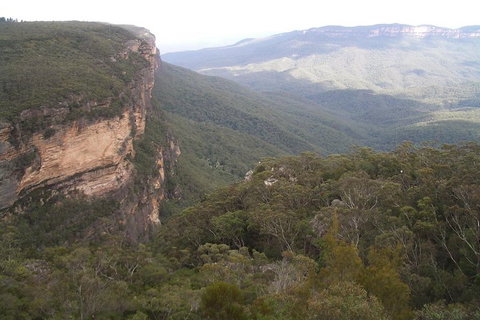 Full-Day Private Blue Mountains Tour With River Cruise - Schoolies Week Accommodation 3
