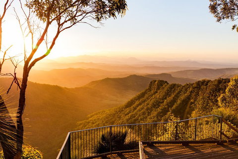 O'Reilly's & Lamington National Park Incl. Alpaca Farm + Vineyard - Schoolies Week Accommodation 0