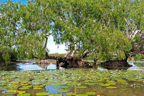 Ethical Adventures - Best In The WET - Litchfield / Kakadu 3 Day- Max 10 Guests - Schoolies Week Accommodation 1