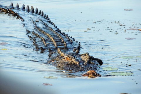 Ethical Adventures - Best In The WET - Litchfield / Kakadu 3 Day- Max 10 Guests - Schoolies Week Accommodation 4