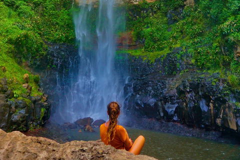 Rainforest & Waterfalls Extravaganza - Schoolies Week Accommodation 2