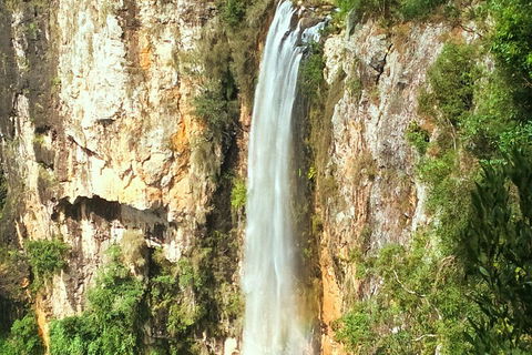 Rainforest & Waterfalls Extravaganza - Schoolies Week Accommodation 3