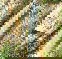 Private Tour - Rainforest  Waterfalls Extravaganza - Schoolies Week Accommodation