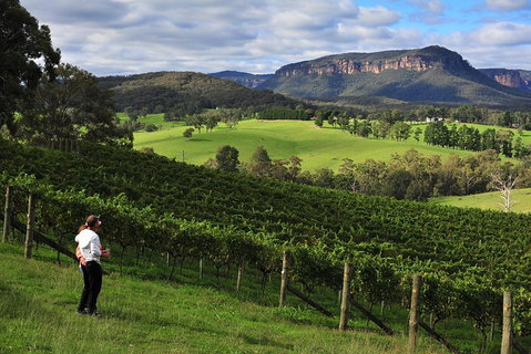 Private Blue Mountains And Winery Day-Trip From Sydney - Schoolies Week Accommodation 2