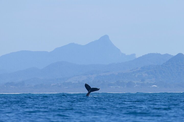  Schoolies Week Accommodation