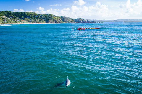 The Byron Bay Sea Kayak Tour - Schoolies Week Accommodation 2